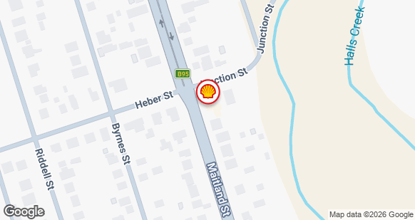 SHELL BINGARA - Shell