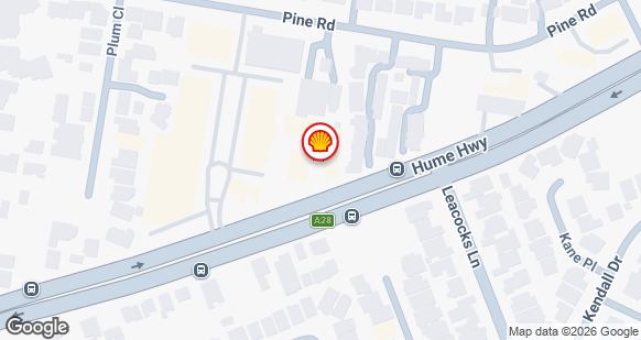 SHELL OTR CASULA - Shell