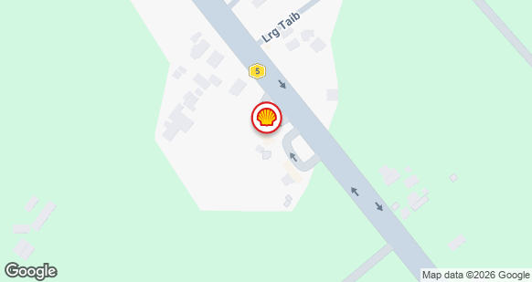 SHELL KESANG TANGKAK - Shell